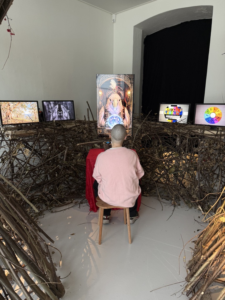 Visitor seated inside the branch installation facing the cockatoo fortune teller and five screens.