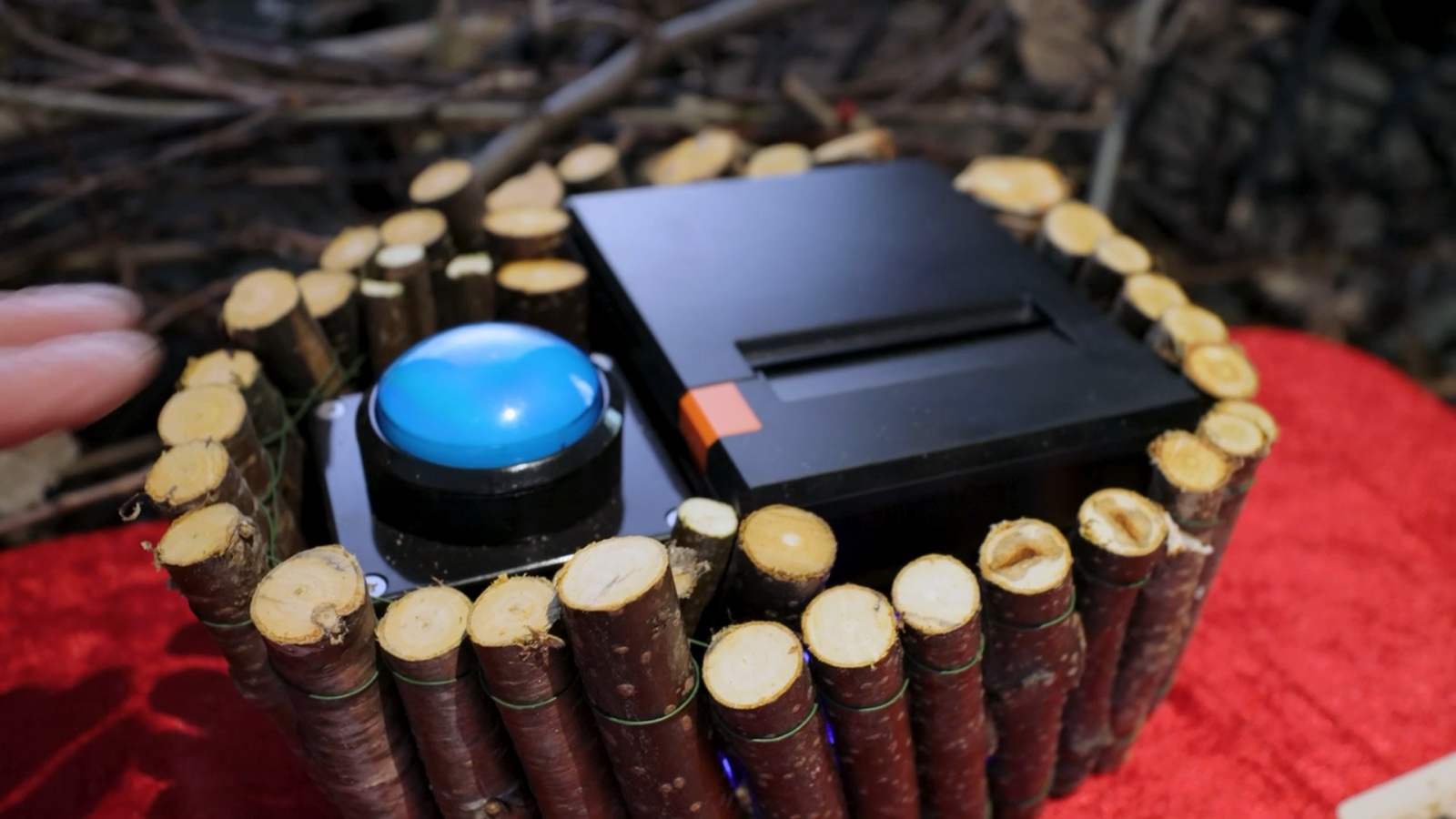 Close view of the blue activation button and fortune printer in their branch enclosure.
